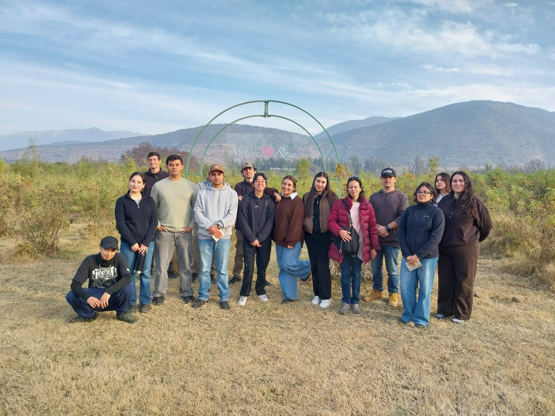 Cultivando el Futuro: Estudiantes de la Universidad Mayor se sumergen en la Agroecología de Native Rose